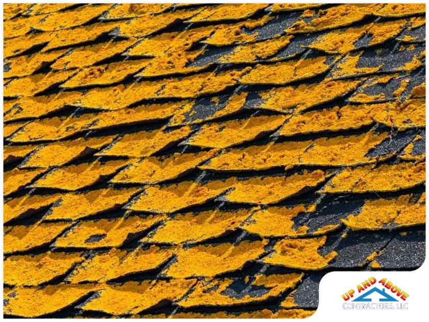 Roofing Info: Normal Wear and Tear vs. Roof Damage - Goodrich Roofing
